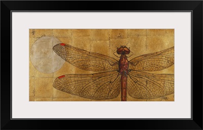 Dragonfly on Gold