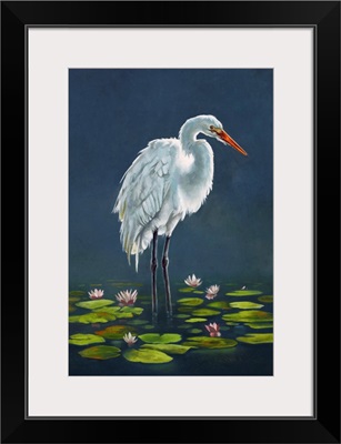 Egret Amongst The Lily Pads