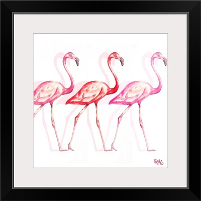 Flamingo Trio I