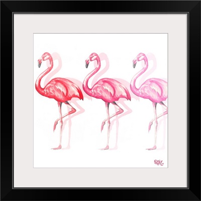 Flamingo Trio II