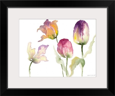 Lavender Hues Tulips I