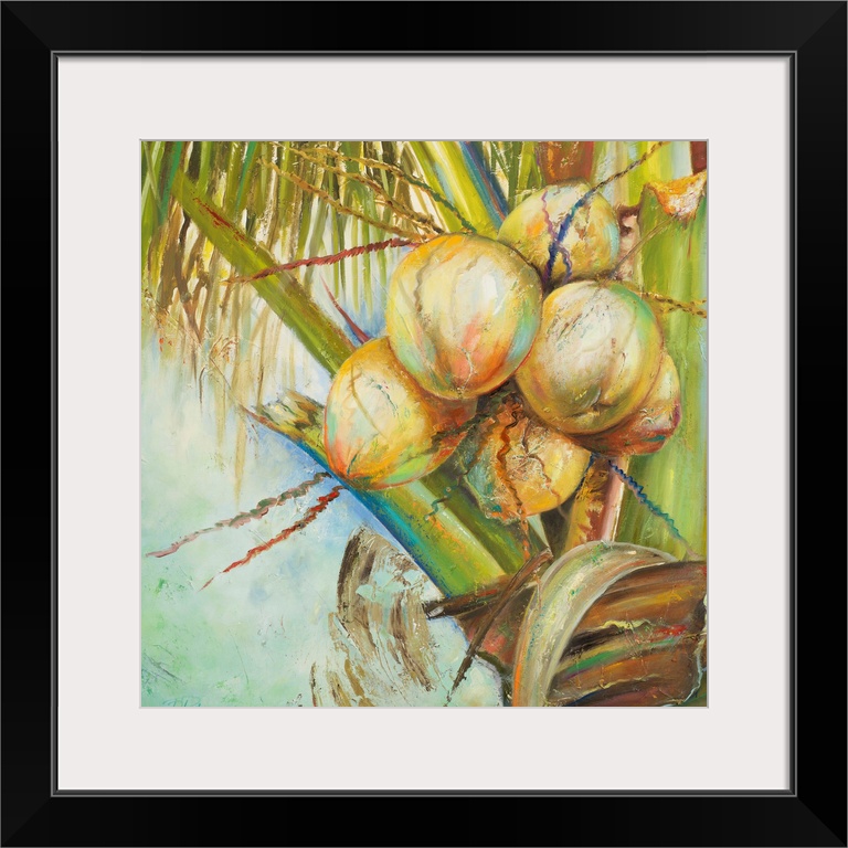 Patricia's Coconuts II