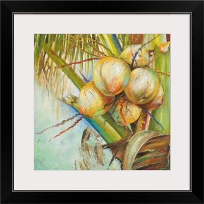 Patricia's Coconuts II