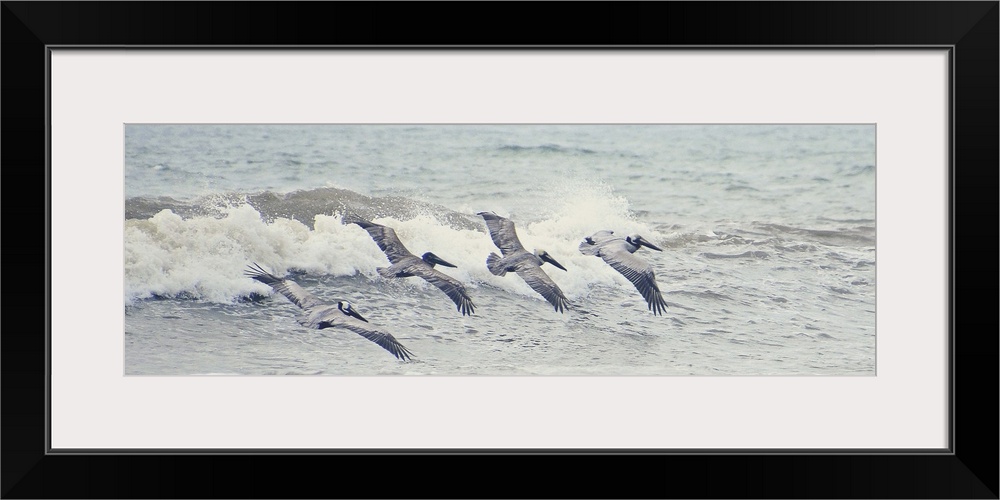 A photograph of four pelicans flying in a line over ocean waves.