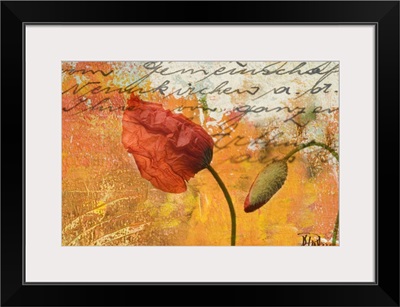 Poppies Composition II