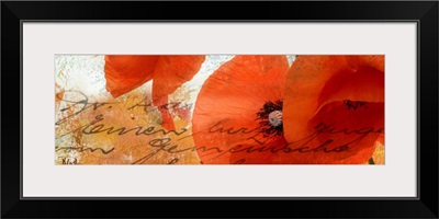 Poppies Composition III