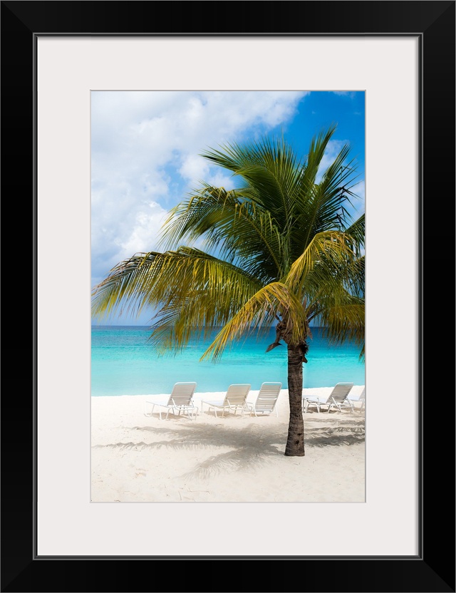 A beautiful photograph of the calm, clear, blue beach with white sands and a palm tree.