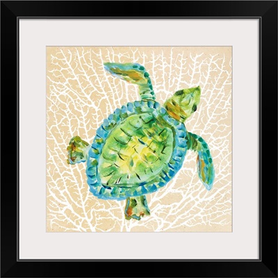 Sealife Turtle