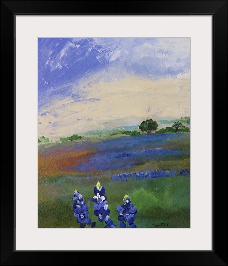 An open field under a blue sky with bluebonnet flowers.