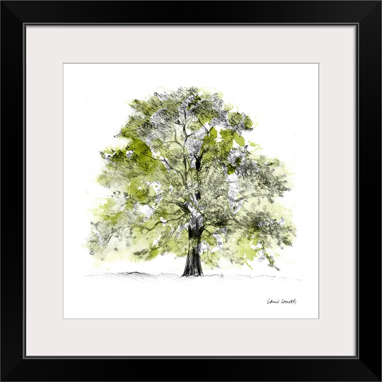 Tree with Green Leaves II