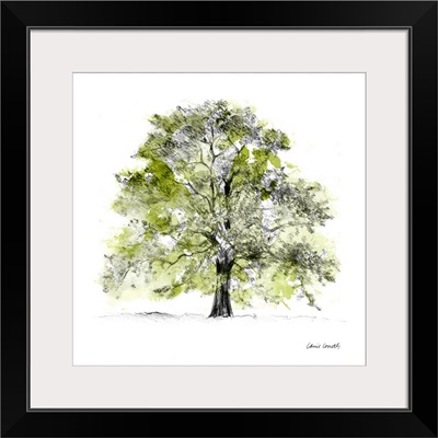 Tree with Green Leaves II