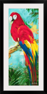 Tropic Parrots I