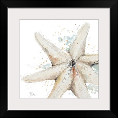 Water Starfish
