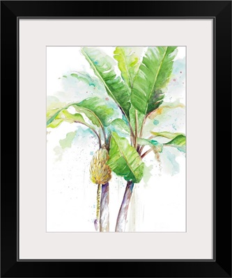 Watercolor Banana Plantain