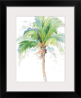 Watercolor Coconut Palm