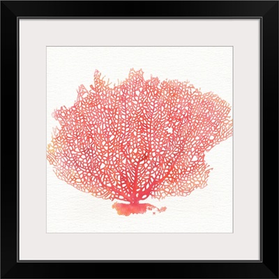 Watercolor Coral II