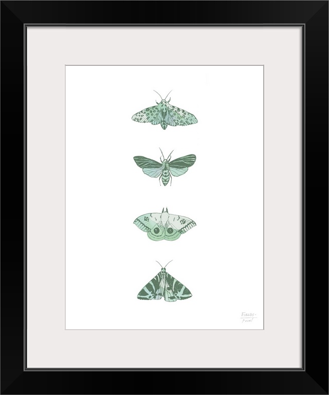 Watercolor and ink print with four different species of moths.