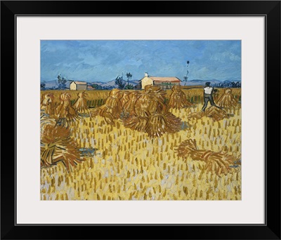 Corn Harvest In Provence, 1888
