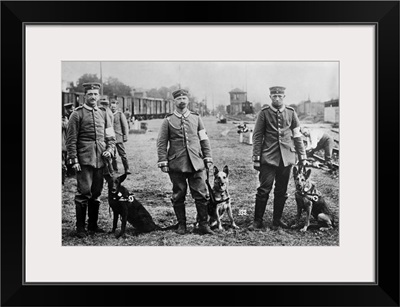 German Red Cross medics and dogs, 1914