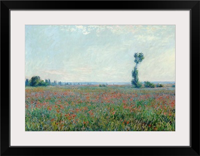 Poppy Field, 1881
