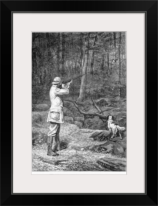 Bird Shooting, 1881. 'Ruffed Grouse Shooting In Pennsylvania - A Chance For A Double.' Wood Engraving, 1881, After Arthur ...