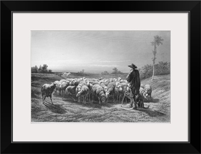 Shepherd, 19th Century