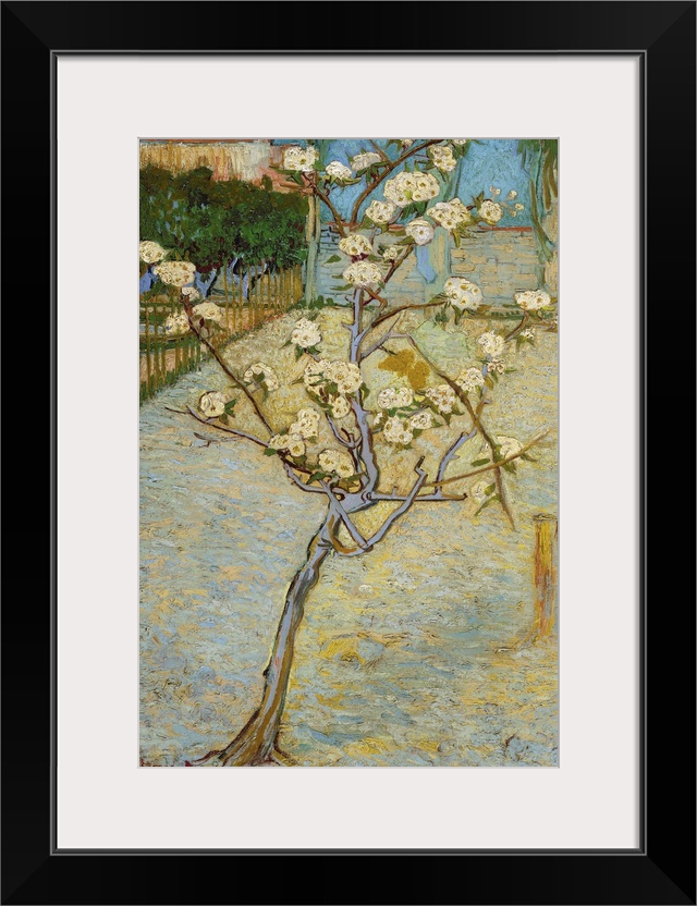 Van Gogh, Peartree, 1888. 'Small Peartree In Blossom.' Oil On Canvas, Vincent Van Gogh, April 1888.