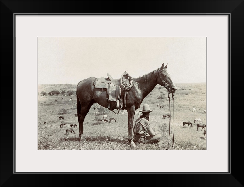 Texas, Cowboy, C1910. A Horse Wrangler Seated Next To His Horse On A Hill And Looking Down At Other Horses Grazing In A Fi...