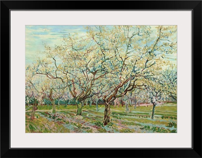 White Orchard, 1888