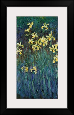 Yellow Irises