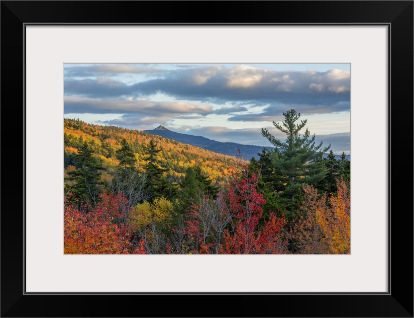 Brightly colored forests in autumn in New Hampshire's Kancamagus Pass.