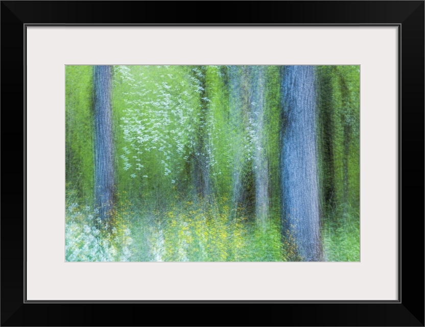 Blurred motion image of a green forest in the Great Smoky Mountains in the springtime, creating an abstract image.