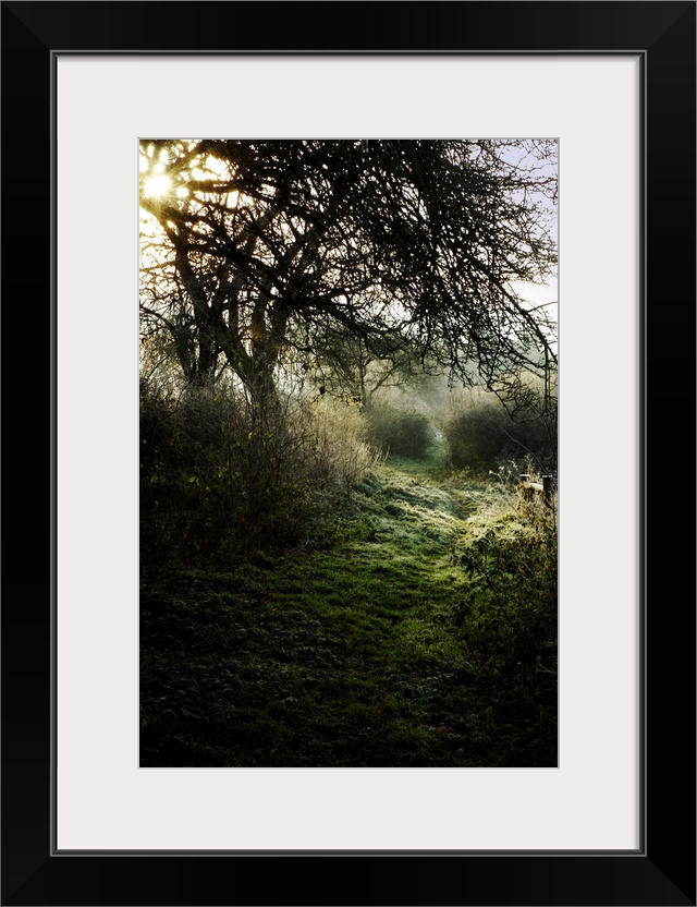 A footpath in the English countryside