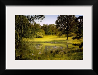 A peaceful rural scene with trees lake, green grass and blue sky