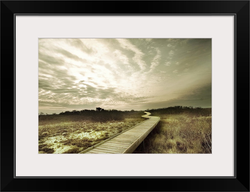 A winding wooden jetty