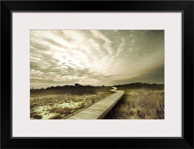 A winding wooden jetty