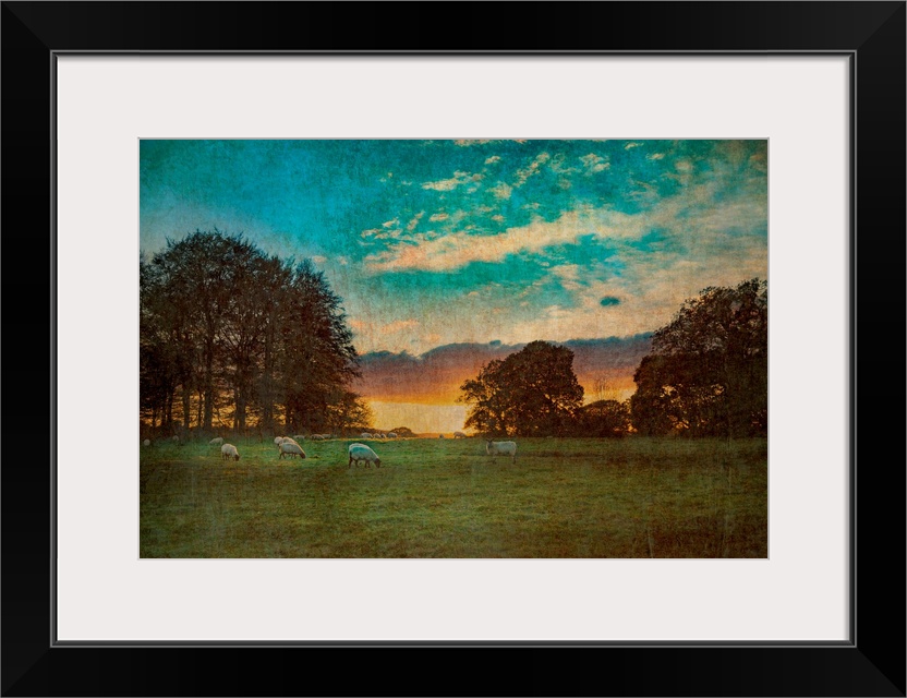 Rural countride view across agricultural land at dusk in East Sussex, England with sheep grazing in a field at dusk.