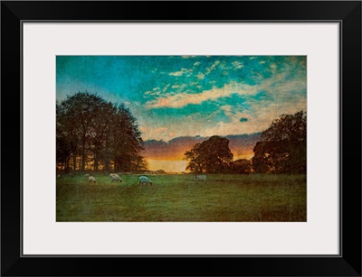 Agricultural Rural Scene In England With Sheep In A Grazing