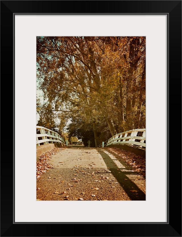 Autumnal Bridge