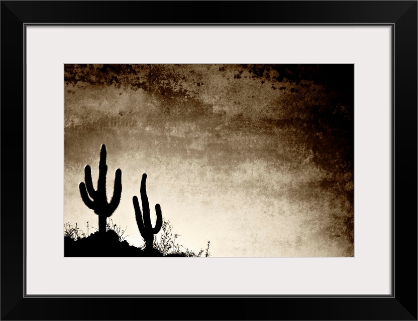 Cacti silhouetted against the afternoon sky in the desert landscape typical of the region near the town of Belen, Catamarc...