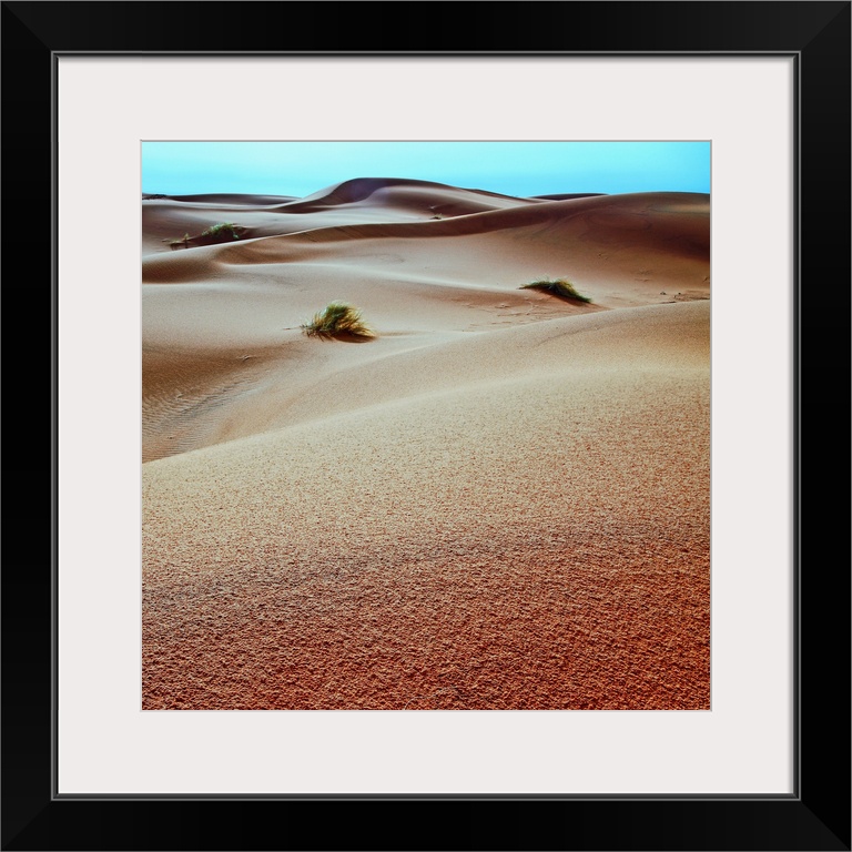 Sahara Desert Sand Dunes