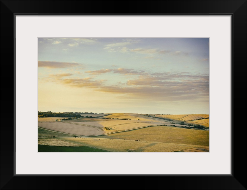 Golden evening light touching the Downland harvest fields. View from Cissbury Ring on the South Downs in West Sussex, Engl...