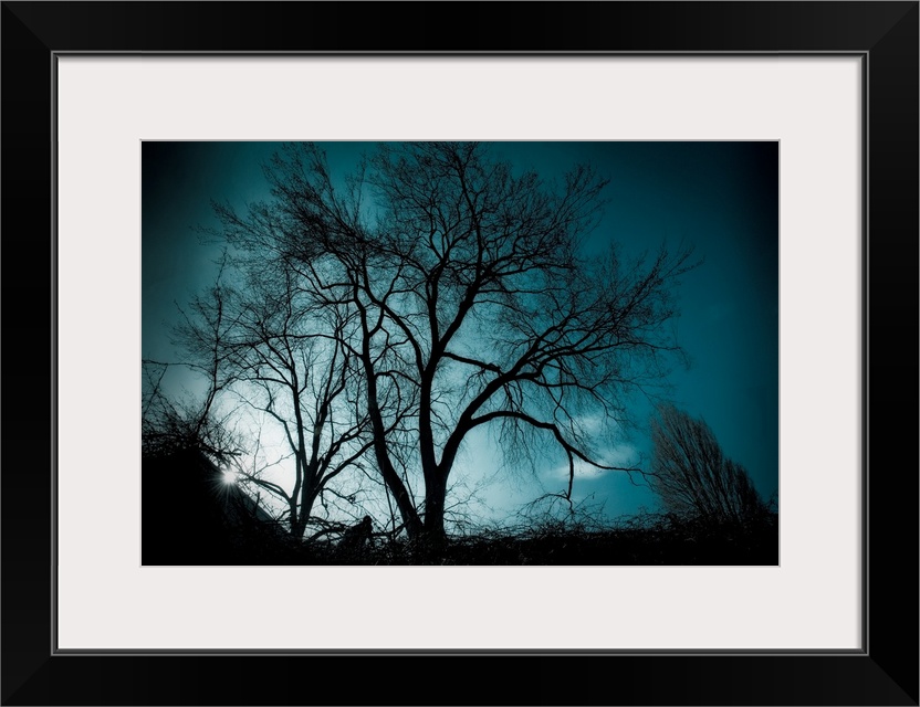 A man walking through trees with bright blue light.