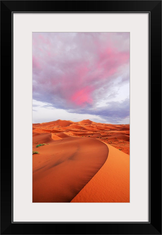 Dunes shaped by the wind and time