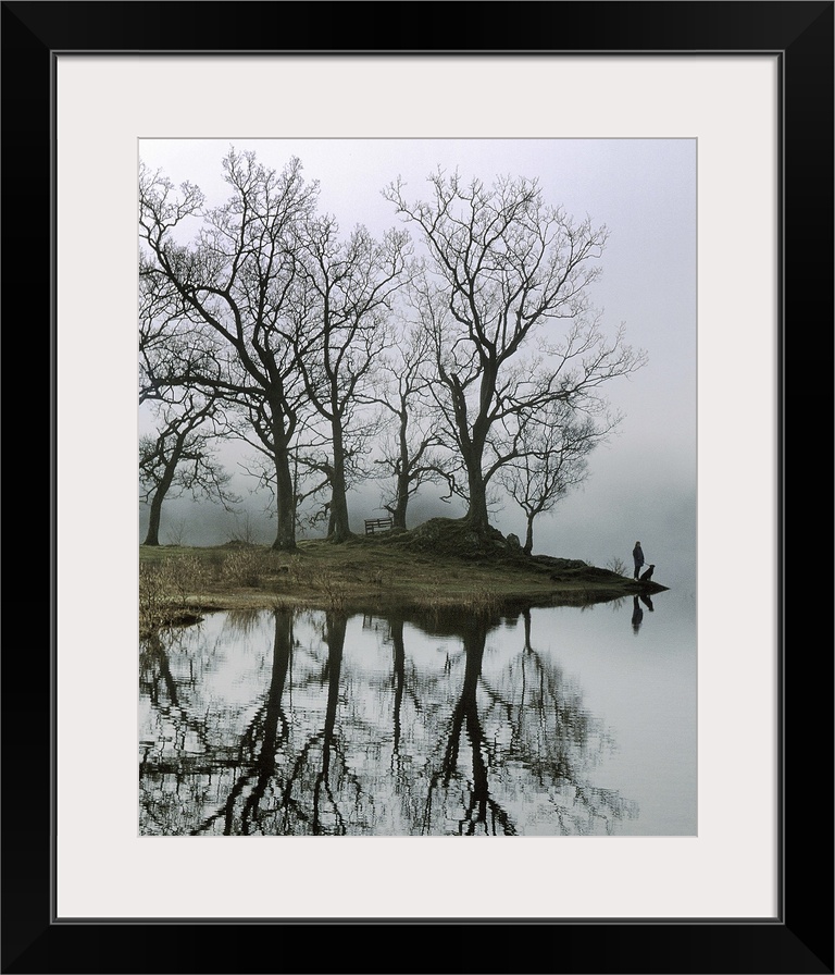 A figure with a dog standing beside a lake with trees