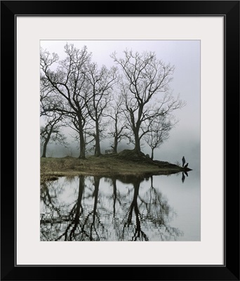 Mirror Lake