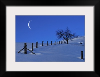 Moon Rising over a Snowy Landscape with a Single Tree and a Fence