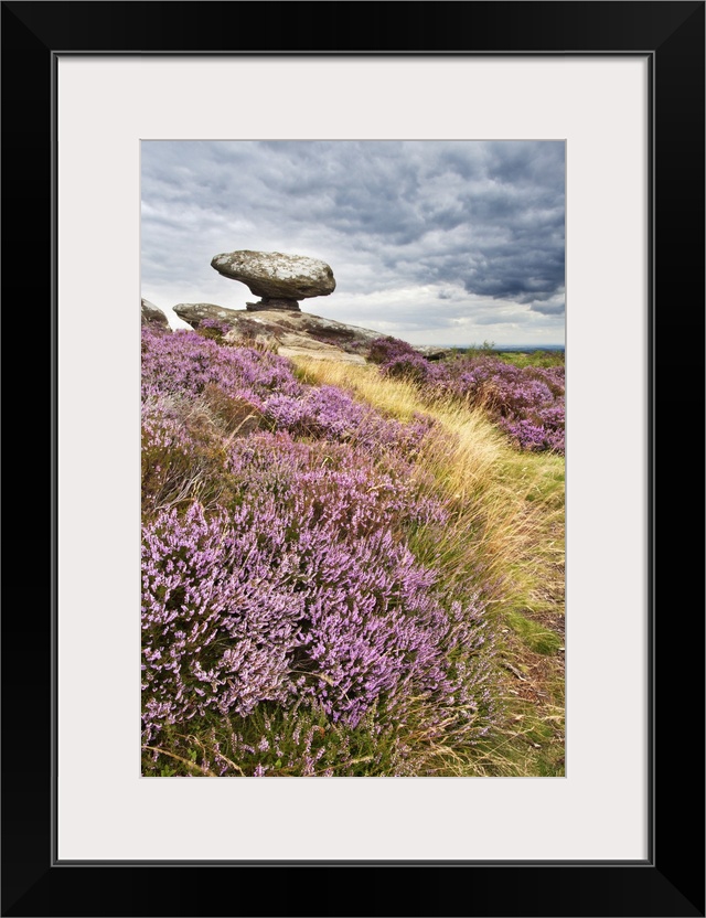 Remote rural location with heather in the north of England.