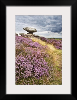 Mushroom Rock And Heather On Brimham Moor