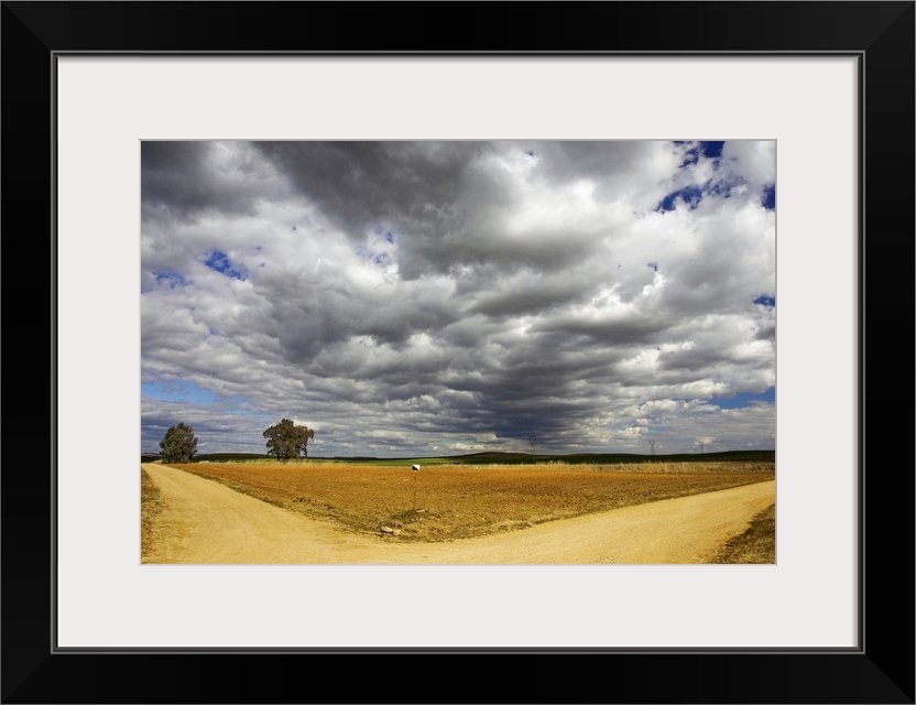 Road in the countryside